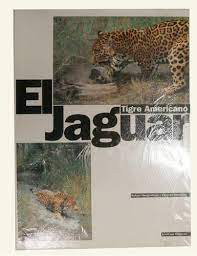 El Jaguar Tigre Americano