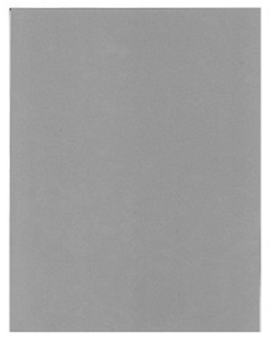 Cartulina Bristol Tipo Carta Gris Ref. 2443150
