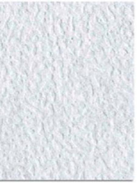 Cartulina Carta Organica Blanco Perlado 220g 81/2'' X 11'' Ref. 15mg-orgper-p094