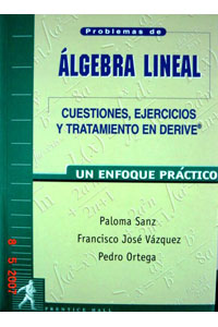 Problemas Algebra Lineal Un Enfoque Practico
