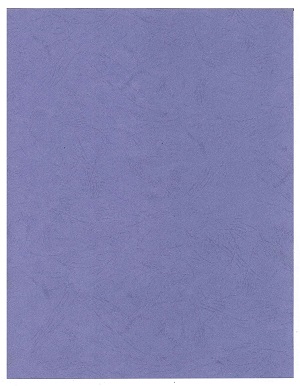 Cartulina Tipo Carta Textura Cuero Azul Ref. Cccaz