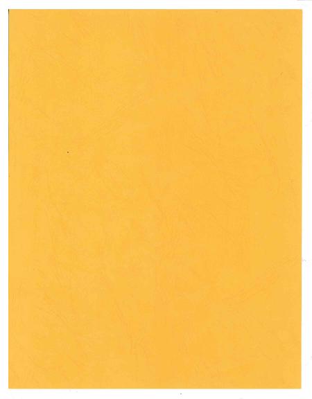 Cartulina Tipo Carta Textura Cuero Amarillo Ref. Cica