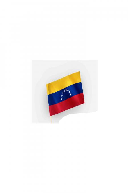 Mini Bandera de Venezuela 4 X 6 
