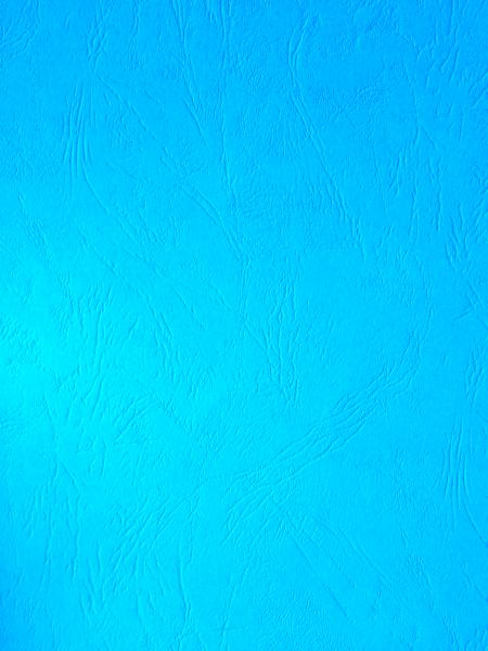 Cartulina Tipo Carta Textura Cuero Celeste Ref. 