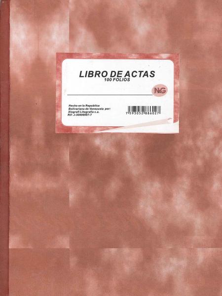 Libro de Actas 100 Folios N&g 