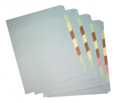 Separadores de Divisiones de Colores X 8 Materias Ref. Sem140