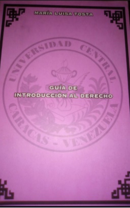 Guia de Introduccion Al Derecho