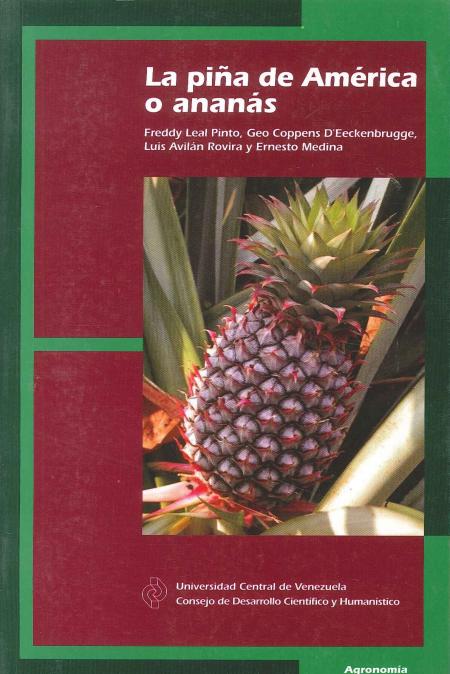 La Piña de America O Ananas