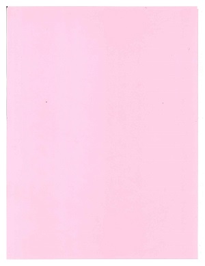 Cartulina Bristol Tipo Carta Rosado  Ref. 2433150