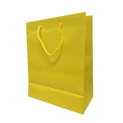 Bolsa de Regalo Unicolor Grande 