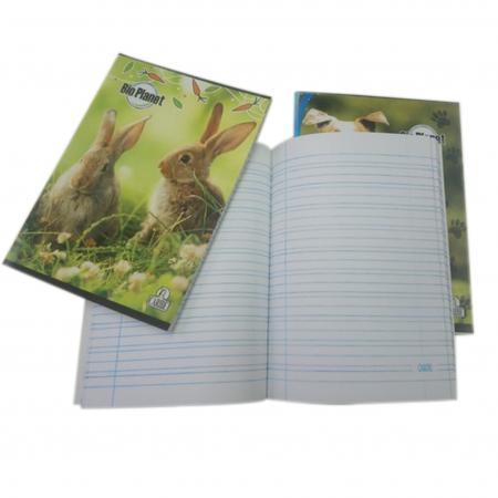 Cuaderno Engrapado Pequeño Caribe Bioplanet 200 Pagina Doble Linea Ref. N01i614l10