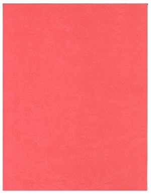 Cartulina Bristol Tipo Carta Rojo Ref. 2436150
