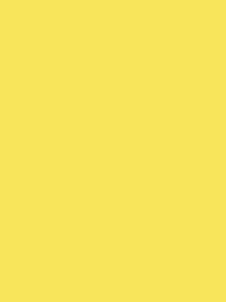 Cartulina Burano 220g Tipo Carta Acqua Amarillo Giallo  