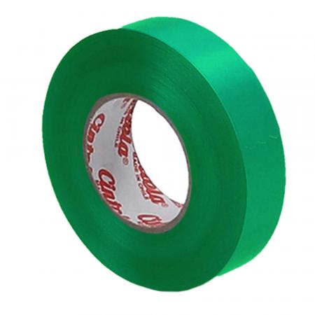 Cinta Cangiante Liscio 31mm X (1metro) Ref. P08  (verde)
