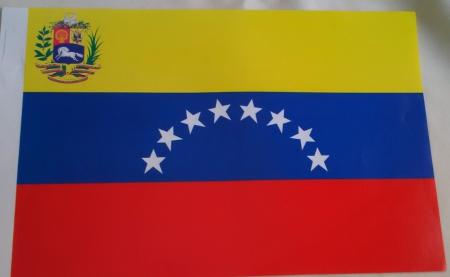 Bandera de Venezuela Pequeña de Papel