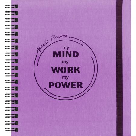 Agenda Promax Rosada
