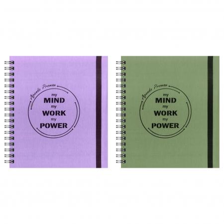 Agenda Promax 