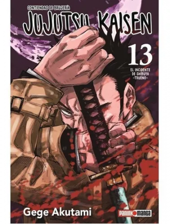 Jujutsu Kaisen 13