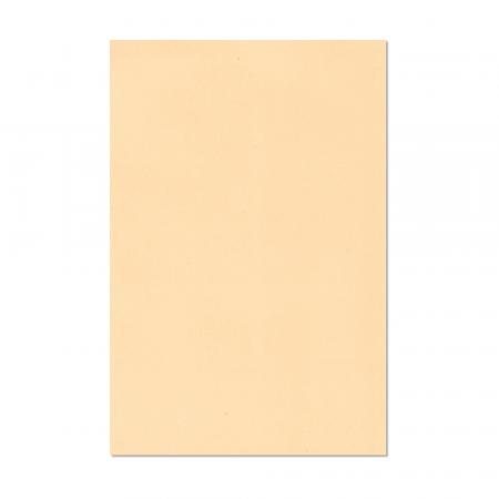 Cartulina Doble Faz Piel Catire 50x70cm 995.20