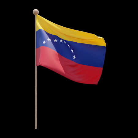 Bandera con Asa  de Madera 20x33