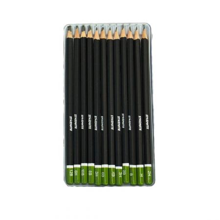 Set de Lapices Profesionales para Dibujo X12pcs Str-2219